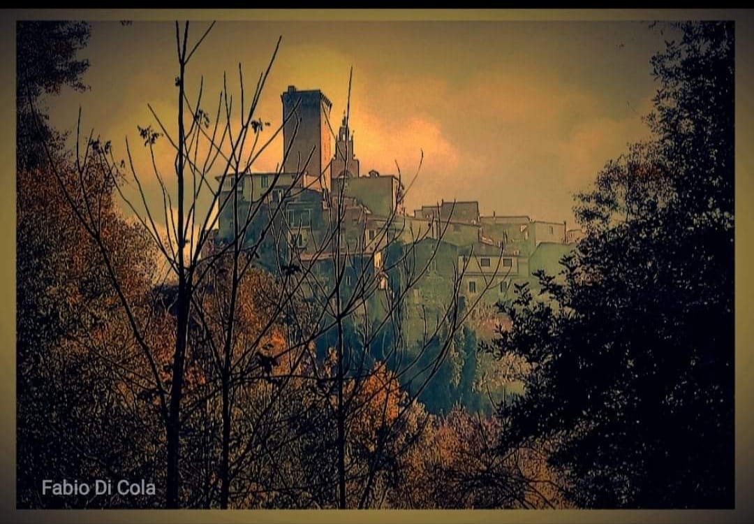 descrizione immagine