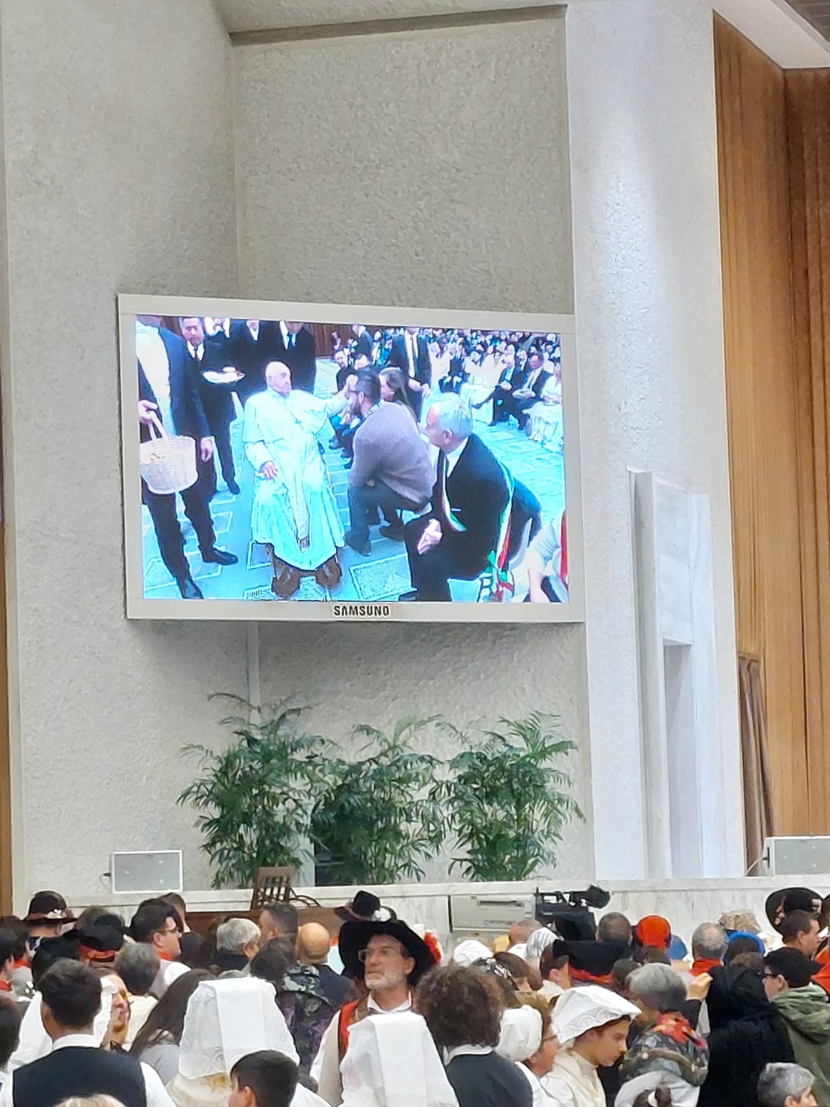 descrizione immagine